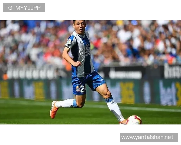 从青涩少年到足球传奇:某球员职业生涯的成长与辉煌之路 从青涩少年到足球传奇:某球员职业生涯的成长与辉煌之路