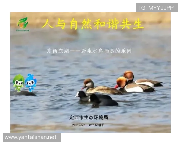 以生态保护为核心推动可持续发展实现人与自然和谐共生 以生态保护为核心推动可持续发展实现人与自然和谐共生