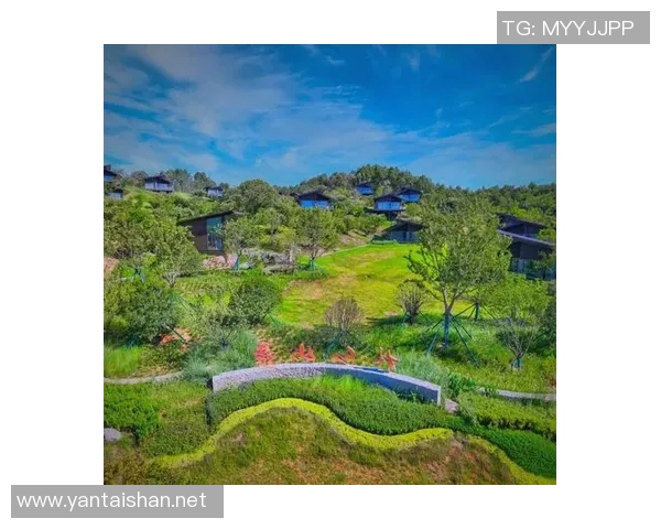 打造温馨家园体验,独具特色的民宿之旅,感受自然与文化的完美融合 打造温馨家园体验,独具特色的民宿之旅,感受自然与文化的完美融合