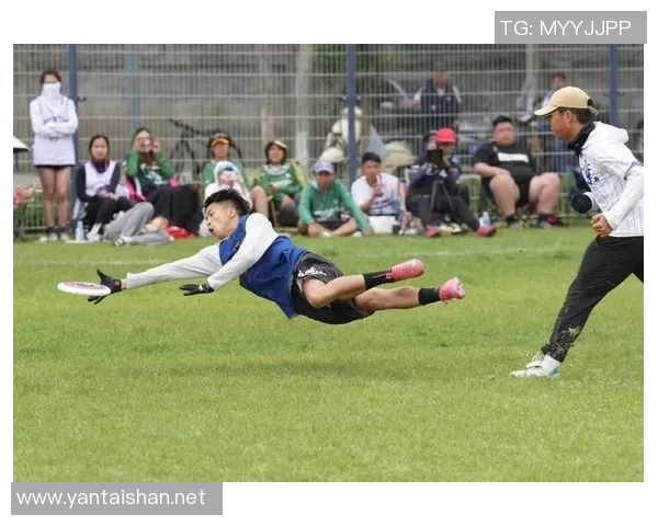 飞盘热潮来袭:深入了解北京飞盘队的训练与比赛节奏 飞盘热潮来袭:深入了解北京飞盘队的训练与比赛节奏