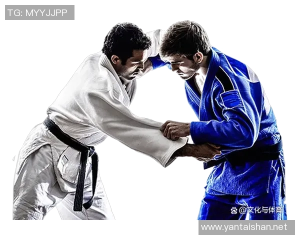 柔道精神与技艺的传承与创新：从传统到现代的全方位解析