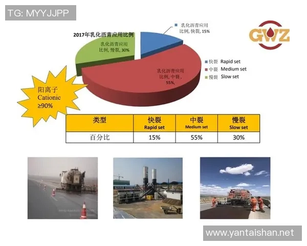 杭州排球队快攻战术解析与实战应用探讨