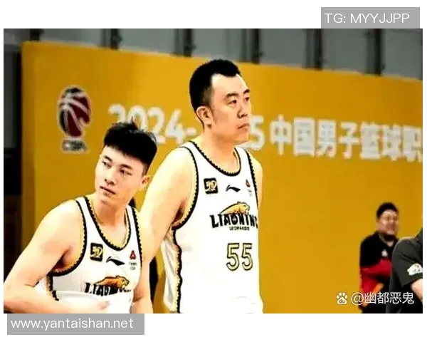 武汉篮球队在CBA中的表现与发展前景