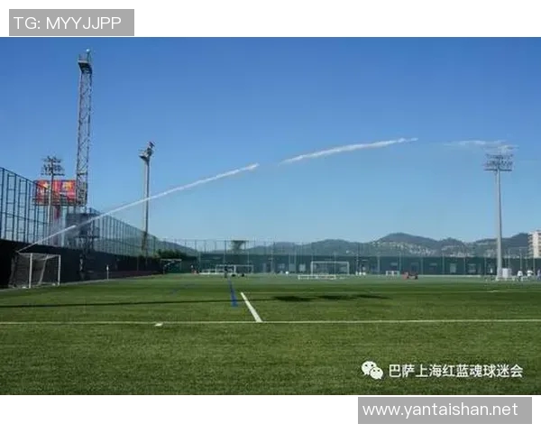 上海足球队的节奏解析与战术深度剖析探秘之旅